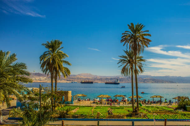 Discover Jordan's Icons