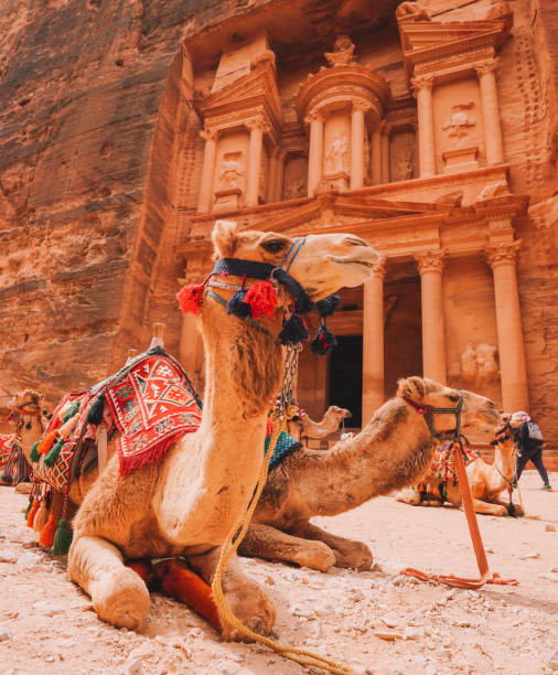 From City Tour to Desert Sands