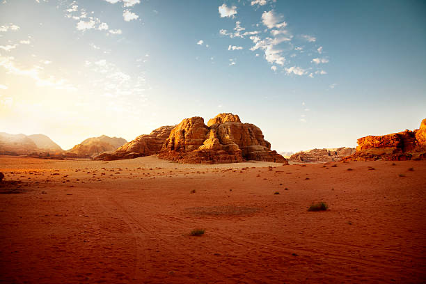 Petra & Wadi Rum From Amman