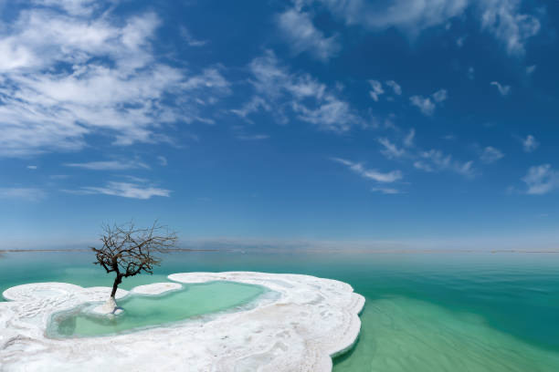 Amman to Dead Sea and Petra