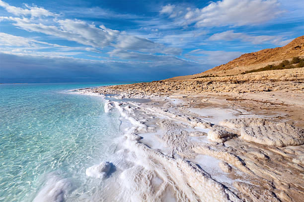 Desert and Sea Expedition
